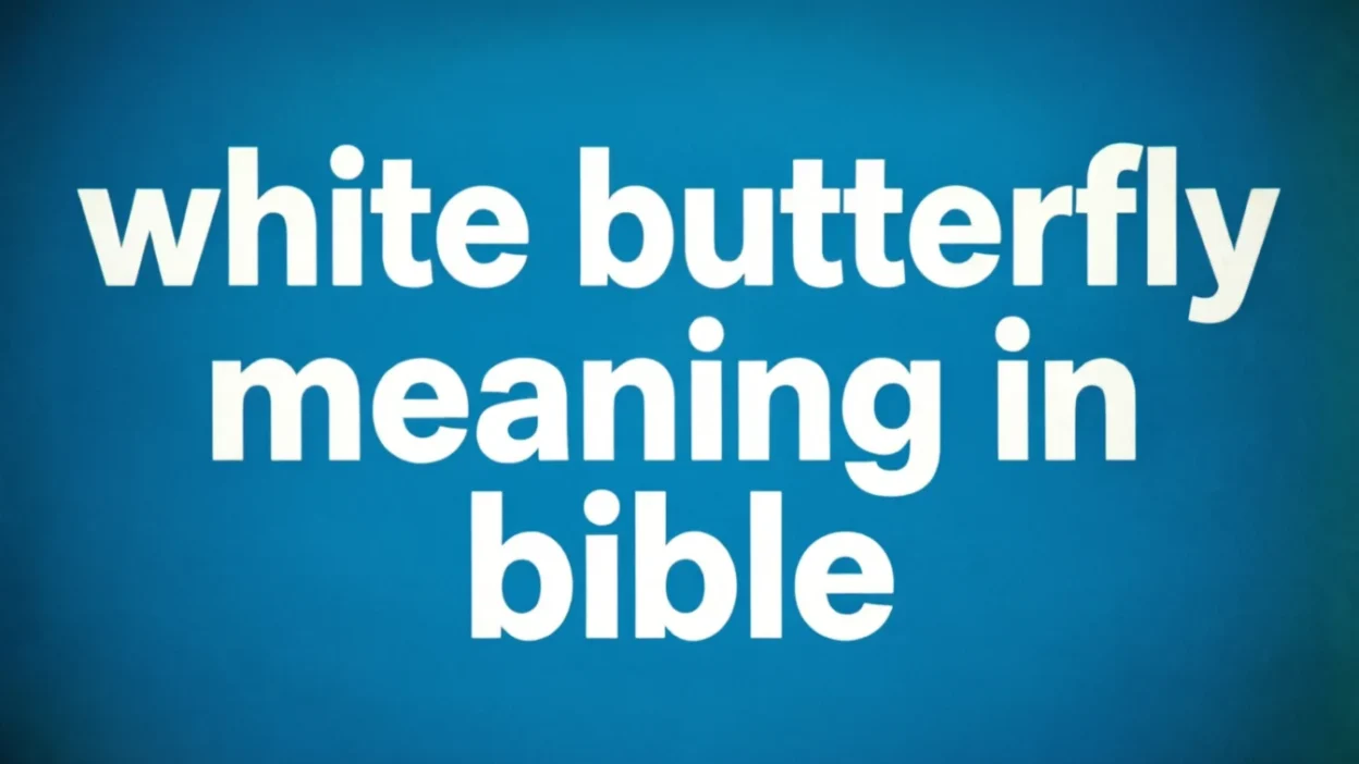 Biblical Meaning of a White Butterfly