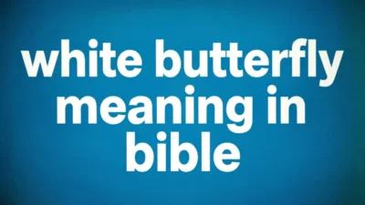 Biblical Meaning of a White Butterfly