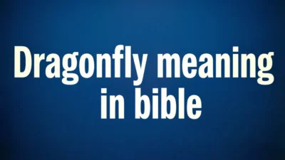 Biblical Meaning of Seeing a Dragonfly