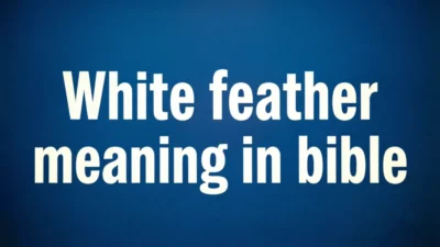 Biblical Meaning of Seeing a White Feather
